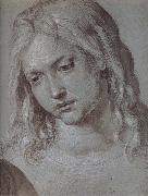 Albrecht Durer THe Head of christ at age twelve oil on canvas
